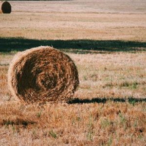 Pourquoi regarder la poutre nous permet d’enlever la paille