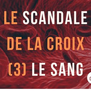 Le scandale de la croix (3) Dieu est-il sanguinaire ?