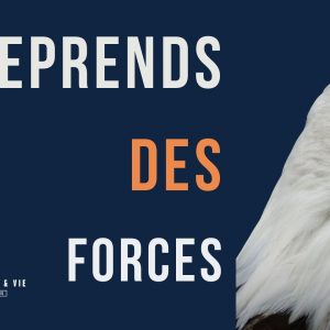 Comprendre la force que Dieu me donne !